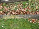image of grave number 616975